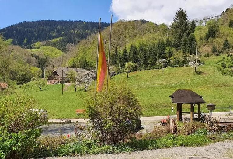 Schwarzwald Idyll Oberharmersbach Kültér fotó